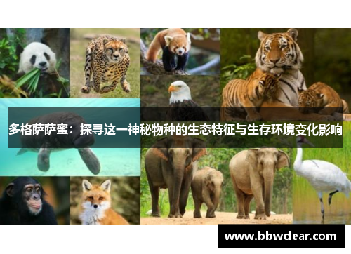 多格萨萨蜜：探寻这一神秘物种的生态特征与生存环境变化影响