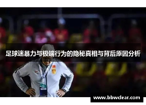 足球迷暴力与极端行为的隐秘真相与背后原因分析