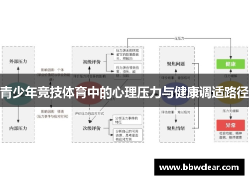 青少年竞技体育中的心理压力与健康调适路径